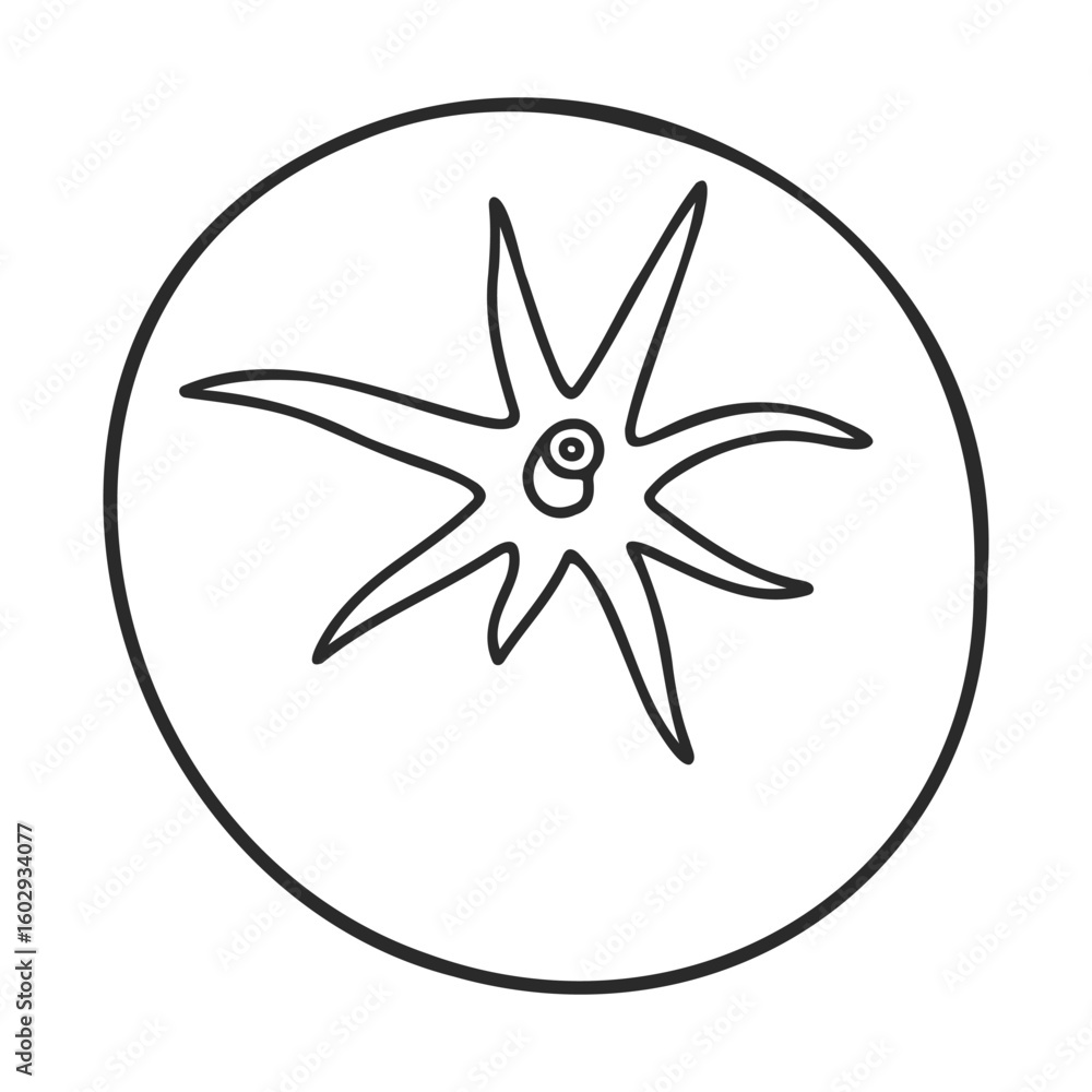 Poster simple black and white starfish drawing with circular background – stock vector icon in line style