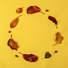 Circle of autumn leaves and berries on vibrant yellow background creates creative seasonal frame with space for inspirational text.