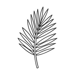 Obraz premium Simple black and white line drawing of a palm leaf on white background – stock vector icon in line style