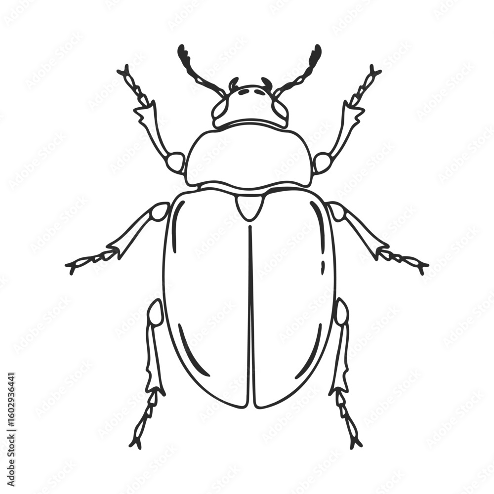Poster detailed line art of a beetle with symmetrical patterns – stock vector icon in line style