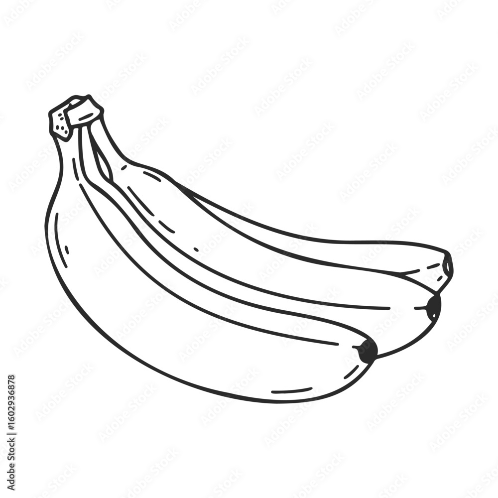 Poster outline of a two-banana bunch – stock vector icon in line style