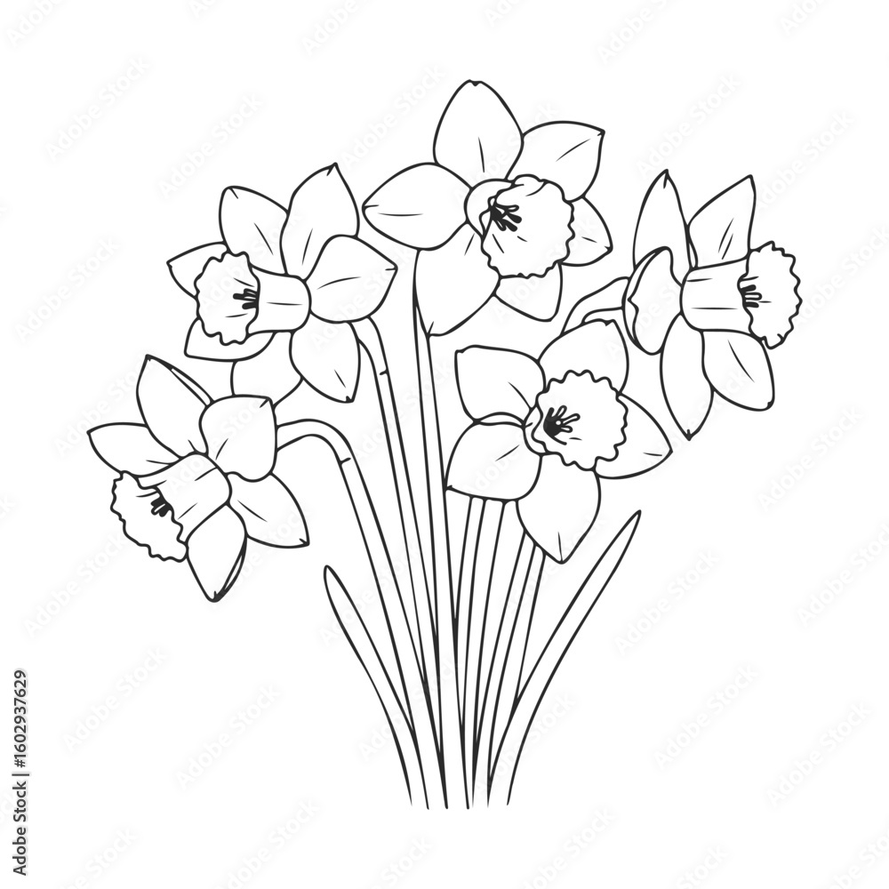 Poster outline drawing of daffodil bouquet with five daffodils and stems – stock vector icon in line style