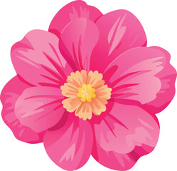 Vibrant pink flower with yellow center vector illustration petals bloom