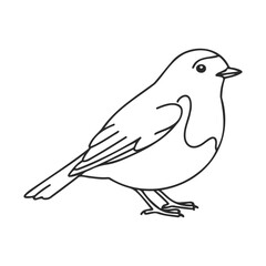 Fototapeta premium Black and white outline of sparrow illustration in minimalist style – stock vector icon in line style