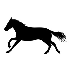 Horse animal silhouette. Design image