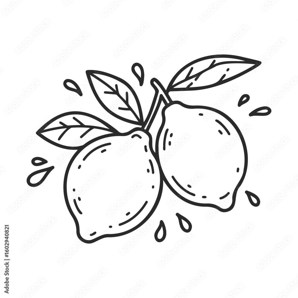 Poster black and white lemon drawing with leaves and splash elements – stock vector icon in line style