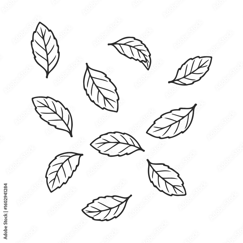 Poster hand-drawn leaf sketches on white background – stock vector icon in line style