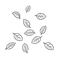 Hand-drawn leaf sketches: assorted black and white botanical design – stock vector icon in line style