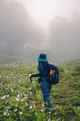 A woman standing with trekking poles in a forest in the Manali trek, India. She carries a black backpack and a blue bucket hat, surrounded by lush green trees and colorful flowers on a foggy day.
