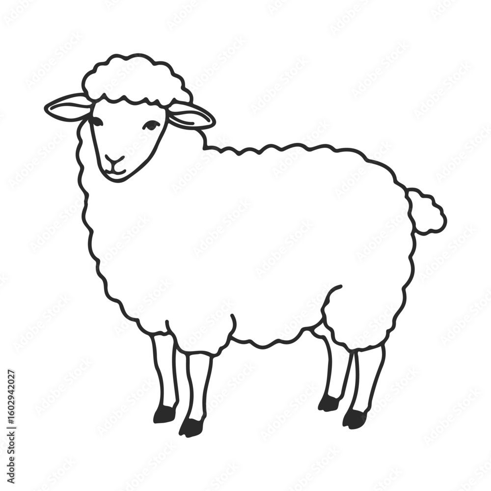 Aufkleber black and white line art of a standing sheep with curly wool – stock vector icon in line style