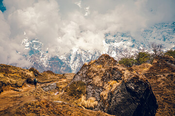 A view of the majestic Himalayas covered in snow on a foggy day. A man is trekking along the Mardi Himal Trek in Nepal. There is dry grass all around the mountain. Idea for adventure background.