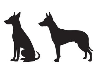 CANARIAN PODENCO DOG SILHOUETTE