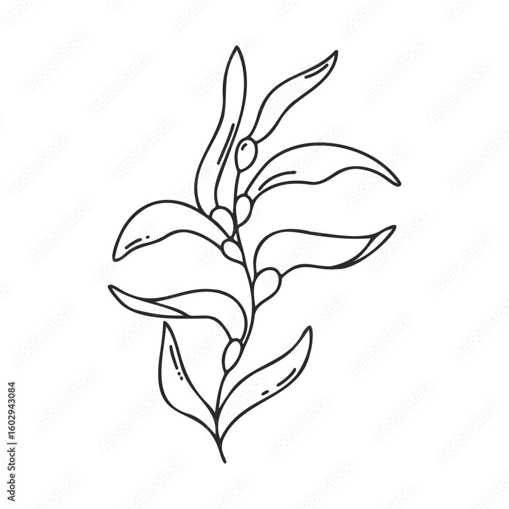 Poster minimalist botanical line art of leaves and berries on branch – stock vector icon in line style