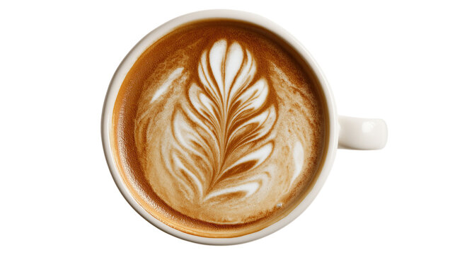 Latte Art Fern Design in White Cup on Transparent BG