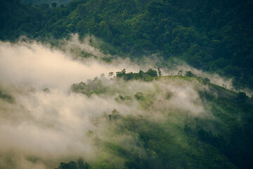High-angle view of the mountain with lush green forest in Thailand. There is fog covering around in the morning. Fresh trees in the rainy season. The idea for a nature background with copy space.