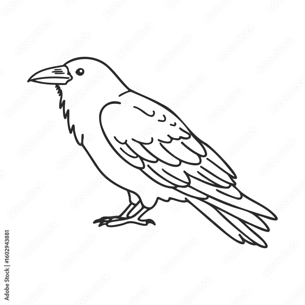 Poster blackbird line art sketch of bumblebee and honeycomb – stock vector icon in line style