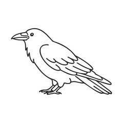 Fototapeta premium Black raven outline illustration featuring perched bird in side profile view – stock vector icon in line style