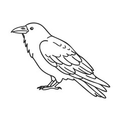 Blackbird line art sketch of bumblebee and honeycomb &ndash; stock vector icon in line style