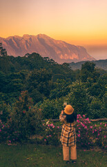A mountain that is cast by the sun's rays with an orange-yellow color. There is a blurred foreground of a woman standing, flowers, and green bushes. There are dense trees all around.