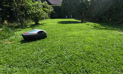 A robotic lawn mower cutting green lawn during a sunny day. The machine is scheduled to automatically cut daily and efficiently trims and maintains backyards