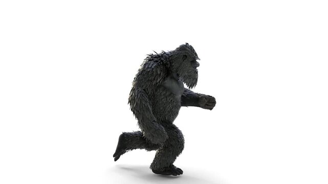 kong running animation