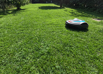 A robotic lawn mower cutting green lawn during a sunny day. The machine is scheduled to automatically cut daily and efficiently trims and maintains backyards