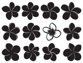 FRANGIPANI FLOWERS SILHOUETTE.