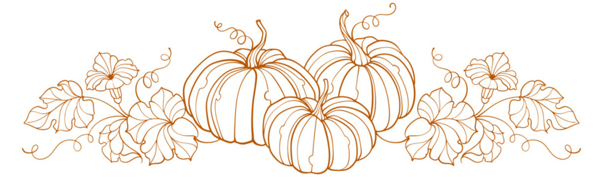 Naklejki Pumpkin line art style vector illustration