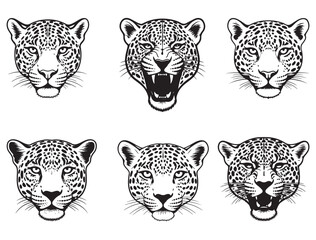  JAGUAR FACE SILHOUETTE