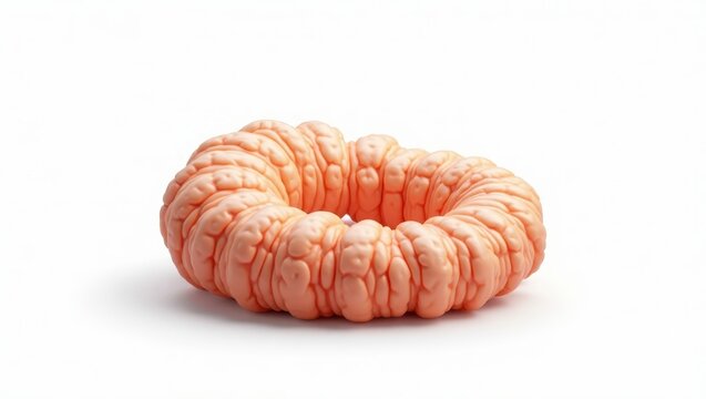 Circular, textured, light peach-colored object.