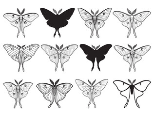 LUNA MOTH SILHOUETTE