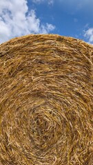 A closeup view of a perfectly round hay bale against a bright, beautiful blue sky