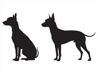 MEXICAN HAIRLESS DOG SILHOUETTE