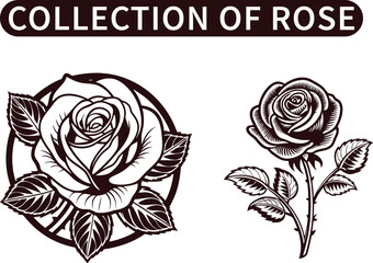 Rose Flower Vector Collection – Elegant Botanical Set of Silhouettes, Outlines, and Decorative Roses for Wedding, Tattoo, and Floral Design
