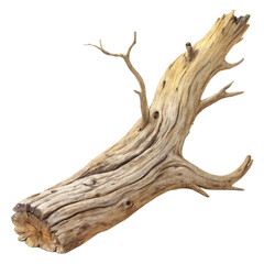 Dry Twisted Tree Branch, Isolated on Transparent Background, Nature Element, Wood Texture, Tree branch, wood, nature