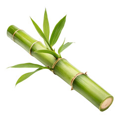 Obraz premium Fresh Green Bamboo Shoot with Leaves, Isolated on Transparent Background, Nature, Plant, Bamboo, Green, Nature