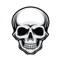 Fototapeta premium Editable Skull Vector Graphic – Isolated & Scalable