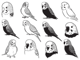 PARAKEET BIRD SILHOUETTE