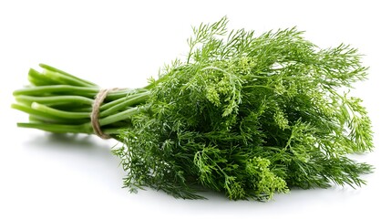 Dill – Fresh Herb Bunch
