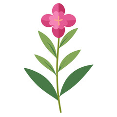vector illustration of pink flower