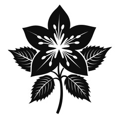 black and white flower