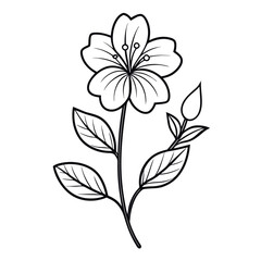 black and white flower