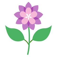 pink flower isolated on white background