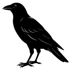 Fototapeta premium crow-silhouette-on-white-background