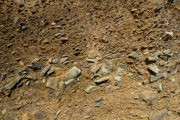 Dry rocky ground surface with scattered stones of various sizes and colors.