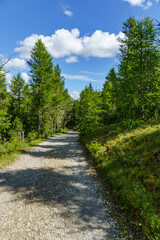 Sommer in K&auml;&ouml;rnten