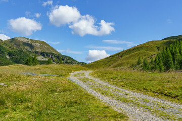 Fototapeta premium Sommer in Käörnten