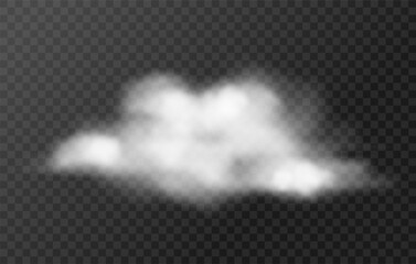 Realistic white cloud. Isolated weather element with transparency. White cumulus cloud, smoke, dust, or fog. Cloudy texture, fire smoke wave, or smoking explosion. Vector effect. Fluffy texture.