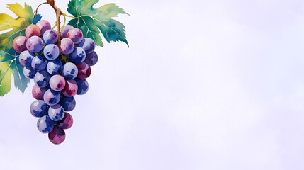 Grapes background with copy space area for text 