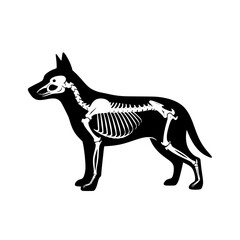 Fototapeta premium Dog skeleton icon black and white vector graphic illustration showing canine anatomy for veterinary or educational purposes